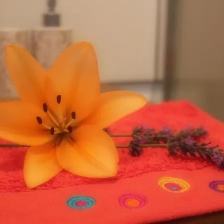 A L'oree Du Pin Bed & Breakfast Aix-en-Provence